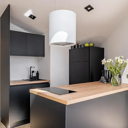 New Flat With Free Underground Parking And Air Conditioning Appartement *