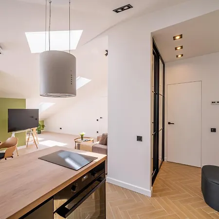 New Flat With Free Underground Parking And Air Conditioning Appartement
