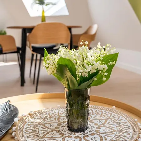 New Flat With Free Underground Parking And Air Conditioning Appartement *